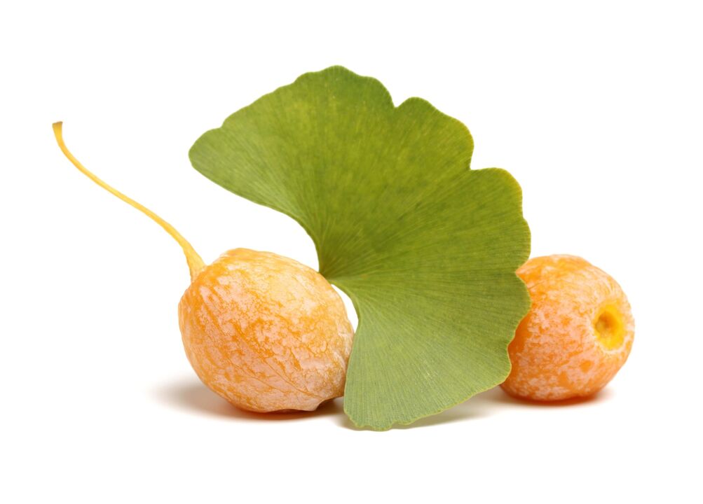 Ginkgo Biloba v Erectil