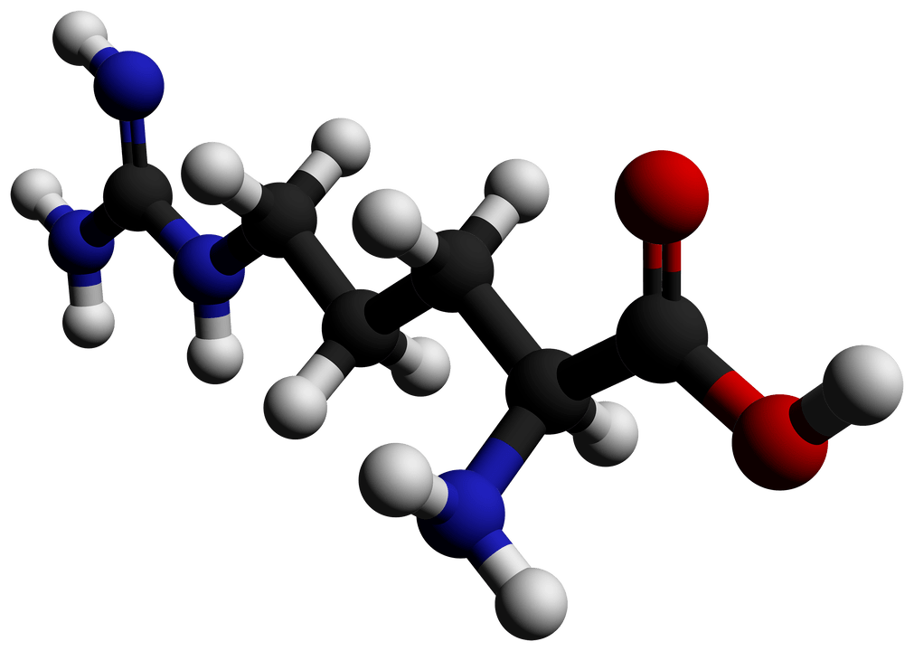 arginin v Erectil